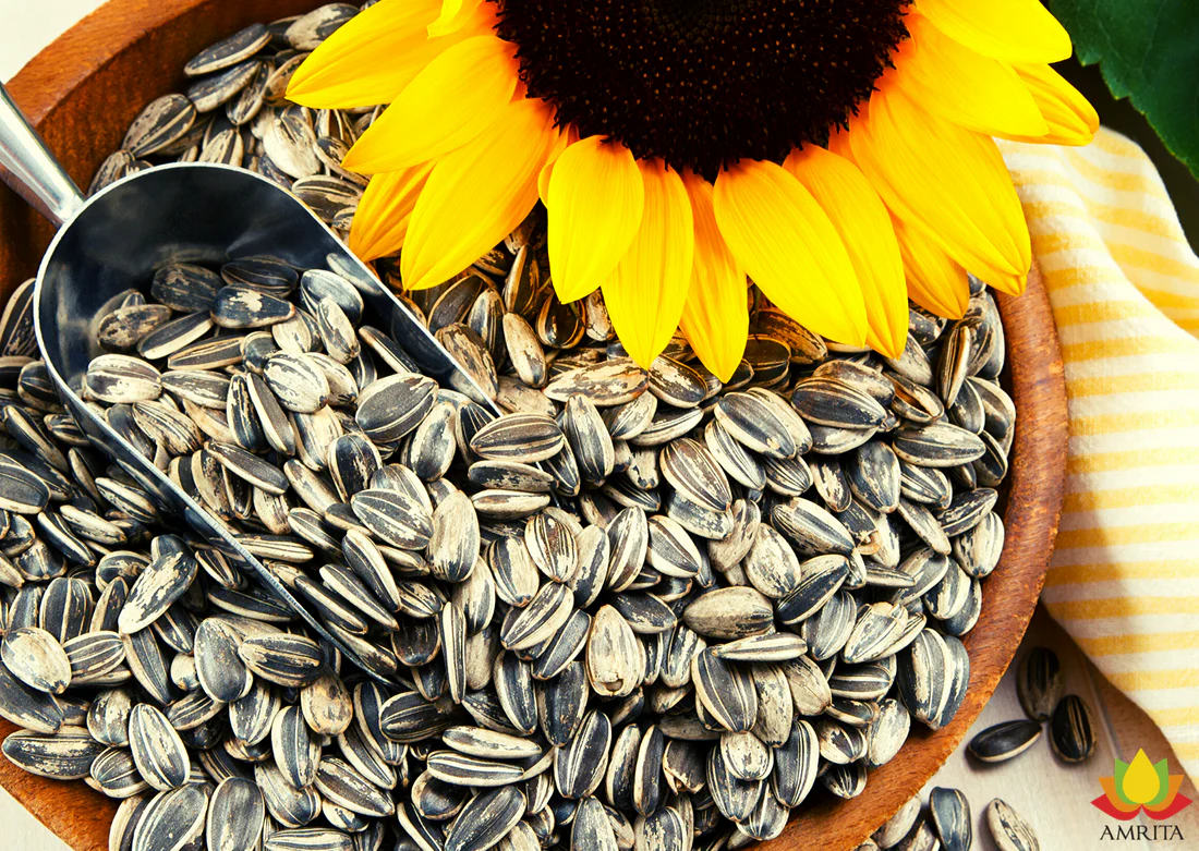 Sunflower Seeds-সূর্যমুখীর বীজ